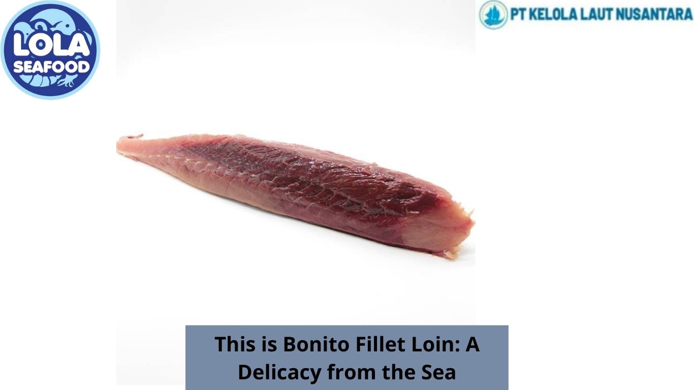 This is Bonito Fillet Loin: A Delicacy from the Sea